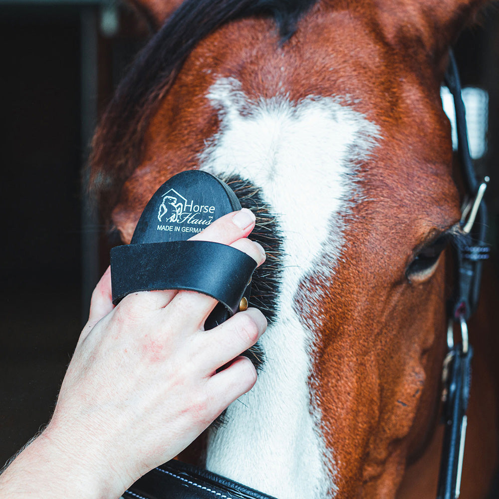 Natural Dandy Grooming Brush  Soft Horse Brush – HorseHaus - Fine  Equestrian Supplies