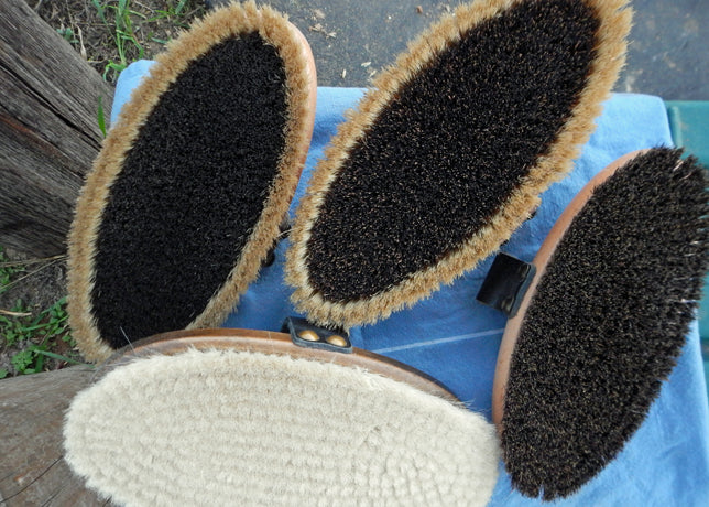 How to Clean Horse Brushes