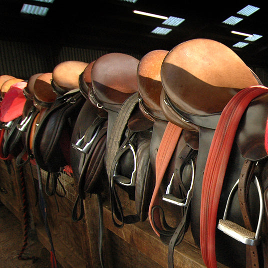 Used Saddles