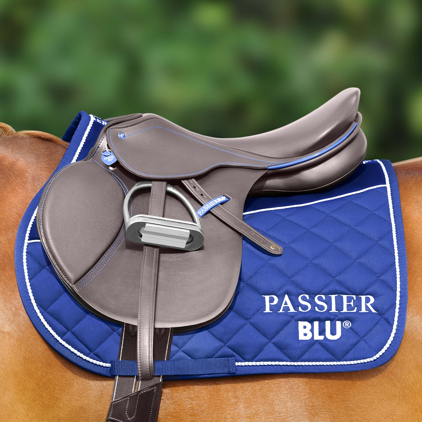 Jumping Saddle | Passier® PASSIERBLU Motion