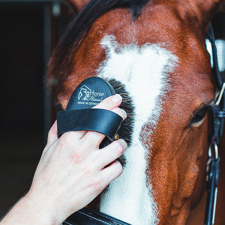 HorseHaus Grooming Set 