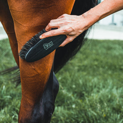 HorseHaus Grooming Set "Black Onyx" - XL Brushes for Black, Sensitive Horses