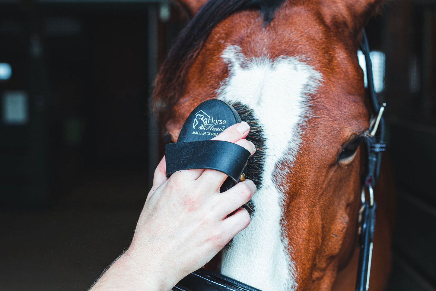Effol Brush Fix  Hoof Brush Holder – HorseHaus - Fine Equestrian