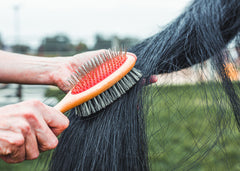 a rider grooming her horse's tail with the horsehaus mane and tail brush kombi