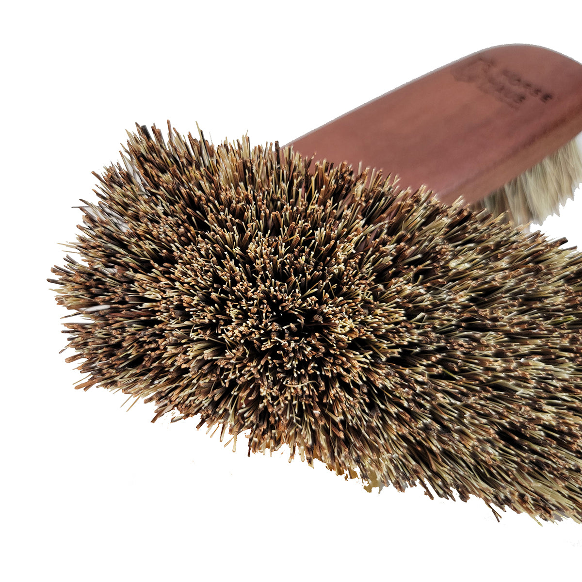 closeup of a stiff horse grooming brush with natural bristles